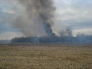 Oct 2011 PA 031 