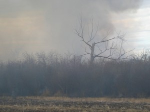 Oct 2011 PA 033 
